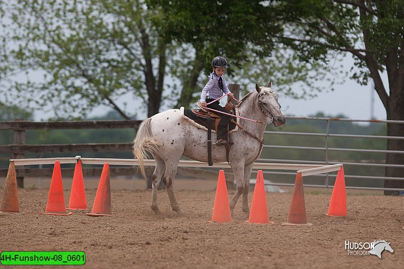 4H-Funshow-08_0601.jpg