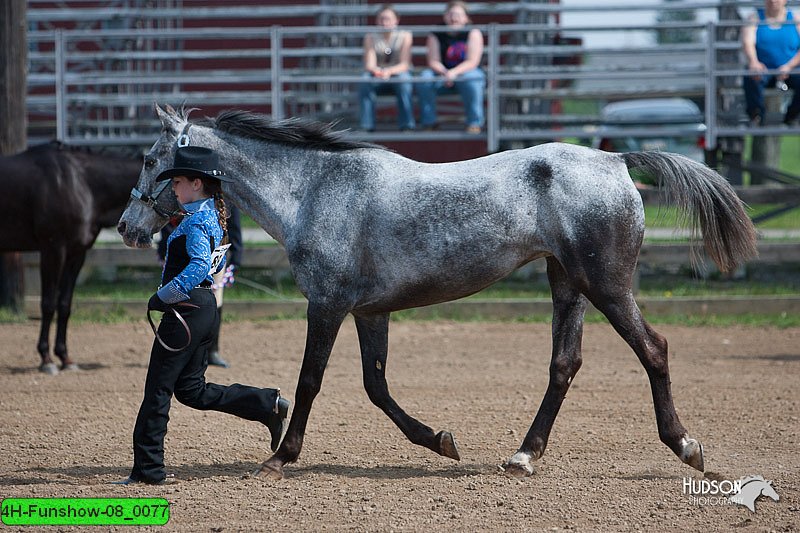 4H-Funshow-08_0077.jpg