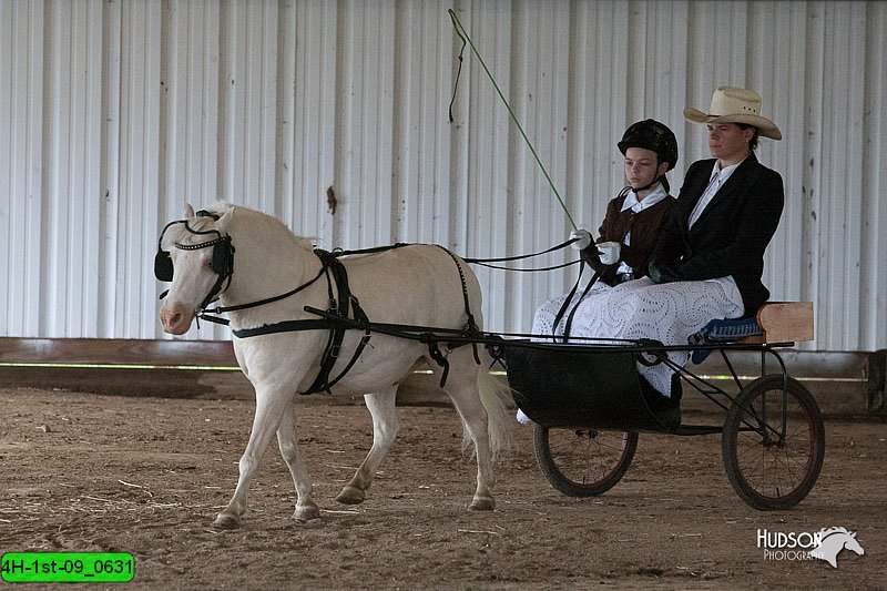 4H-1st-09_0631.jpg