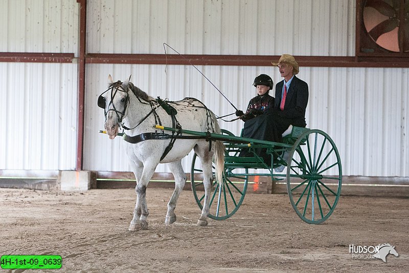 4H-1st-09_0639.jpg