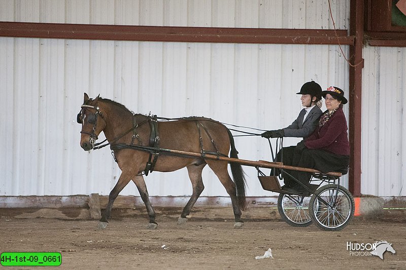 4H-1st-09_0661.jpg