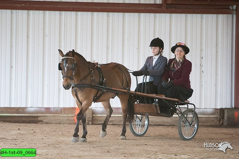 4H-1st-09_0664.jpg