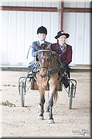 4H-1st-09_0658.jpg