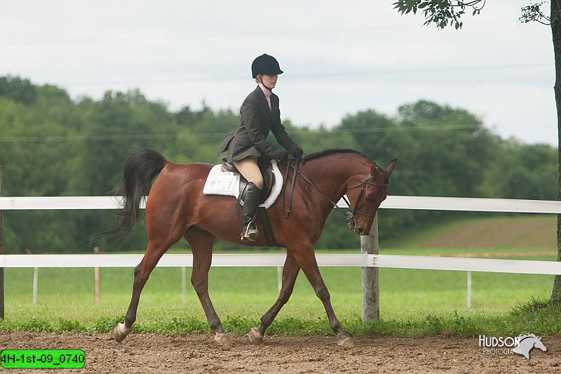 4H-1st-09_0740.jpg