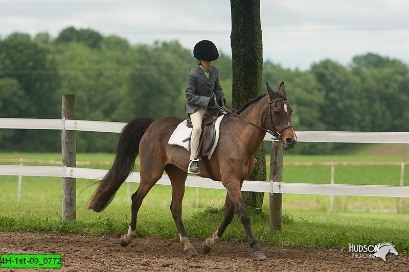 4H-1st-09_0772.jpg