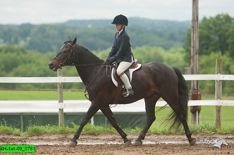4H-1st-09_0781.jpg
