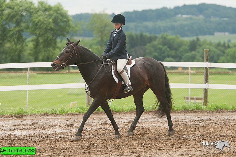 4H-1st-09_0782.jpg