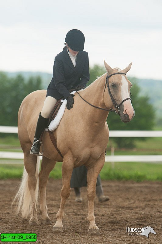 4H-1st-09_0955.jpg