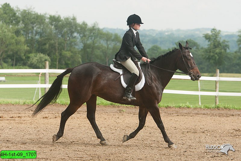 4H-1st-09_1707.jpg