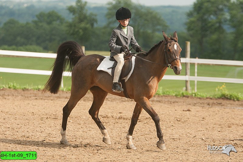 4H-1st-09_1711.jpg