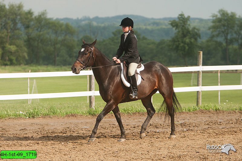 4H-1st-09_1719.jpg