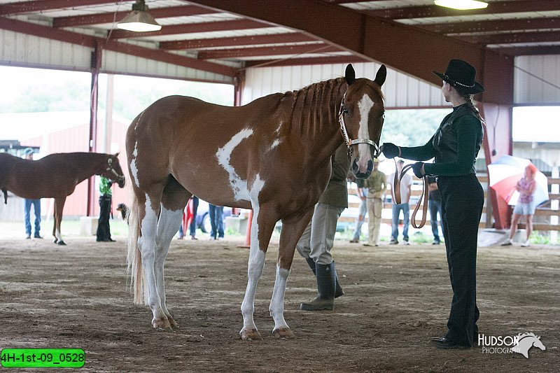4H-1st-09_0528.jpg