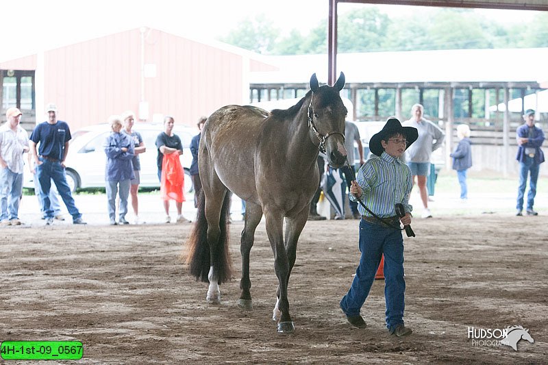 4H-1st-09_0567.jpg