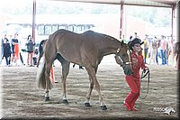 4H-1st-09_0491.jpg