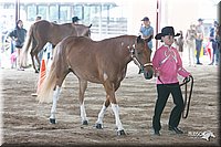 4H-1st-09_0500.jpg