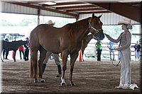4H-1st-09_0535.jpg