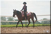 4H-1st-09_1260.jpg