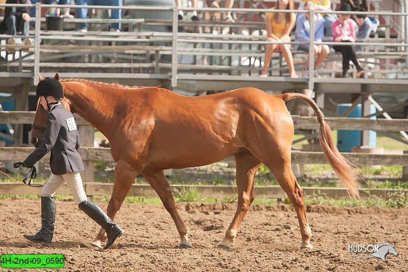 4H-2nd-09_0590.jpg