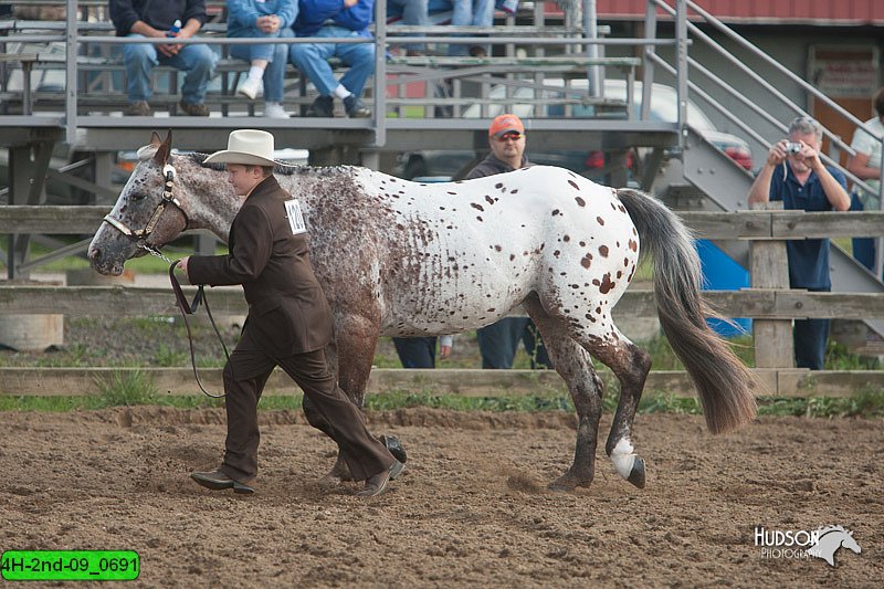 4H-2nd-09_0691.jpg