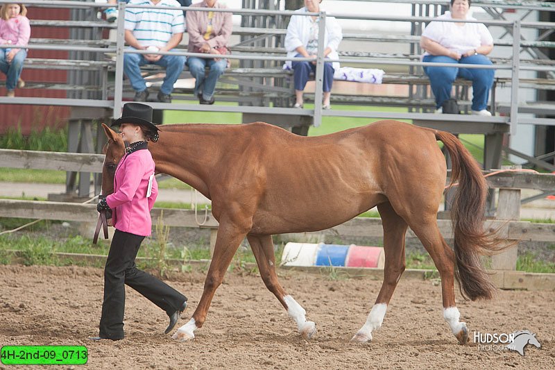 4H-2nd-09_0713.jpg