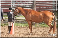 4H-2nd-09_0593.jpg