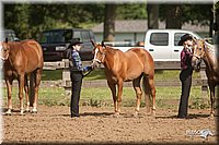 4H-2nd-09_0684.jpg