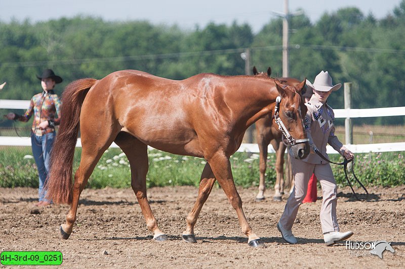 4H-3rd-09_0251.jpg
