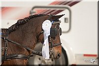 4H-Dist-09_0697.jpg