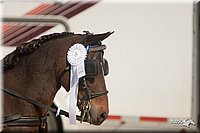 4H-Dist-09_0698.jpg