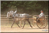 4H-Dist-09_0706.jpg