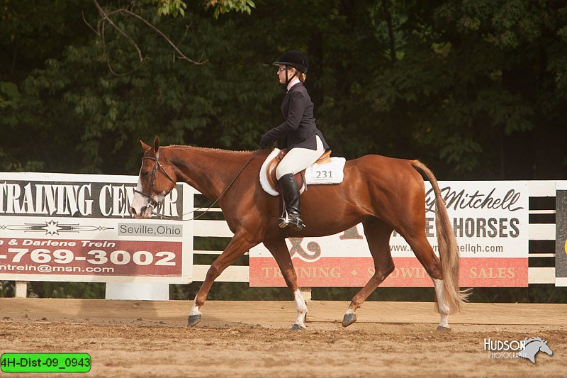 4H-Dist-09_0943.jpg