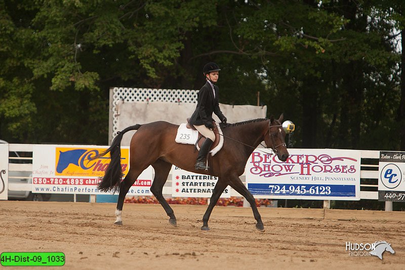 4H-Dist-09_1033.jpg