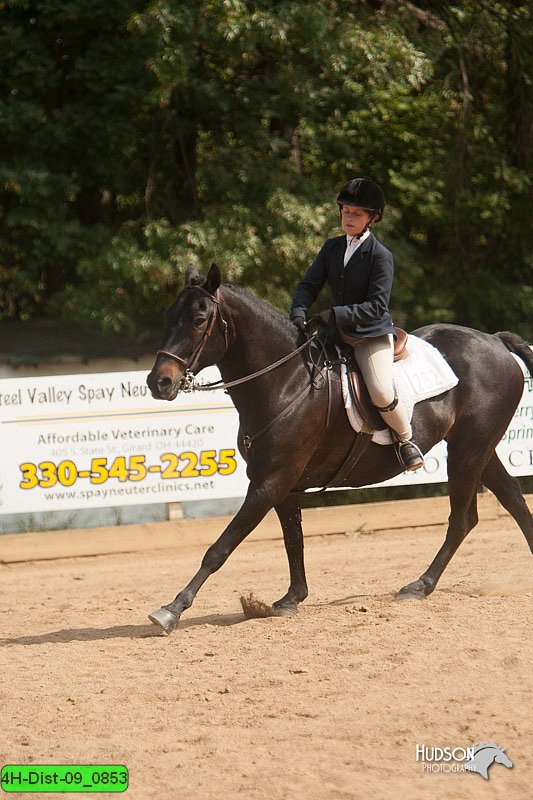 4H-Dist-09_0853.jpg