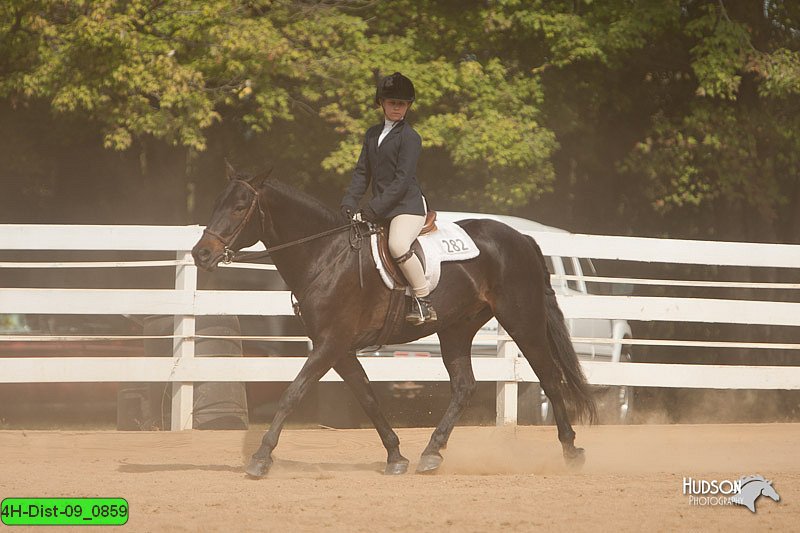 4H-Dist-09_0859.jpg