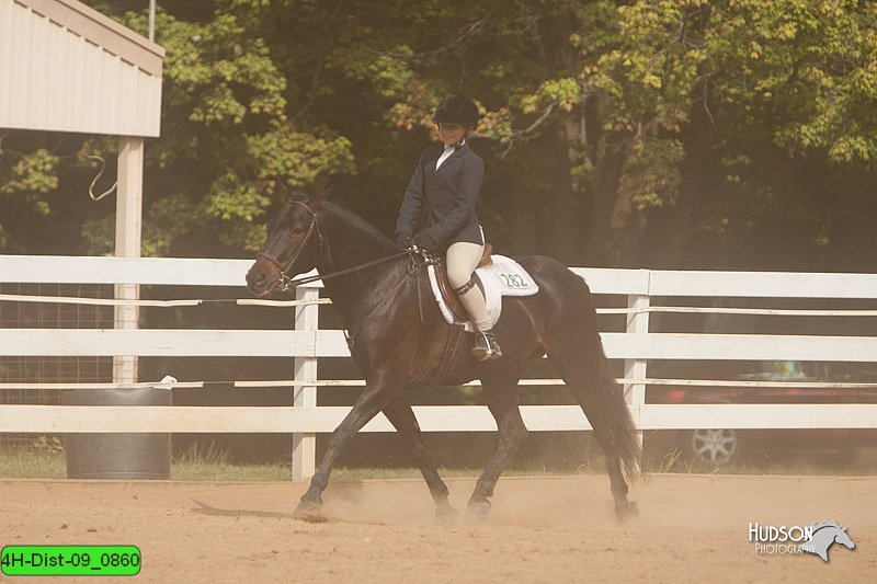 4H-Dist-09_0860.jpg