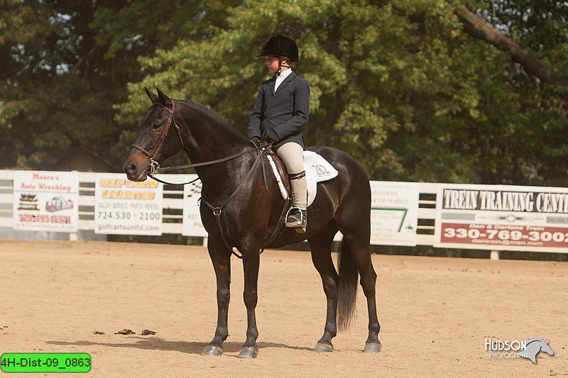 4H-Dist-09_0863.jpg