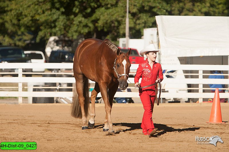 4H-Dist-09_0427.jpg