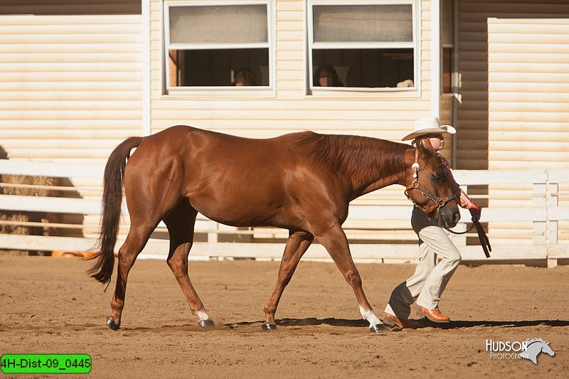 4H-Dist-09_0445.jpg