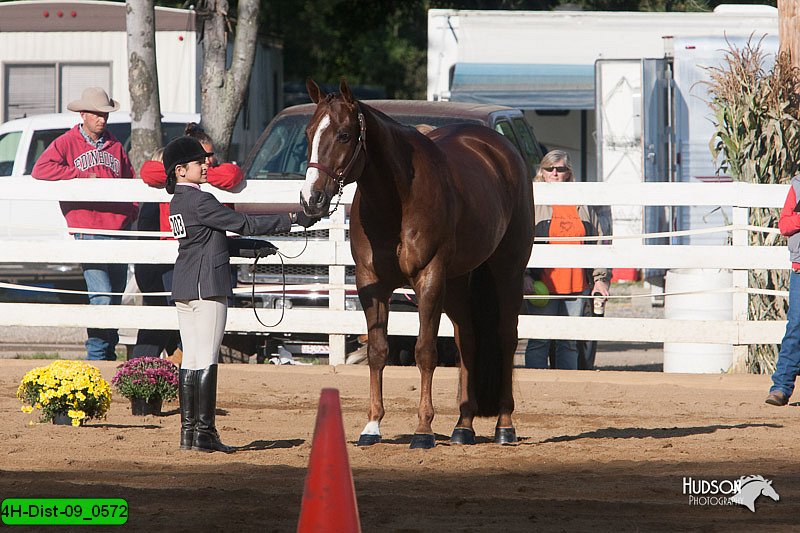4H-Dist-09_0572.jpg