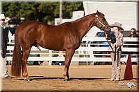 4H-Dist-09_0437.jpg