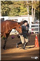 4H-Dist-09_0544.jpg