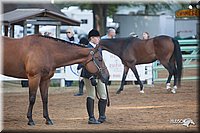 4H-Dist-09_0547.jpg