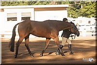 4H-Dist-09_0554.jpg