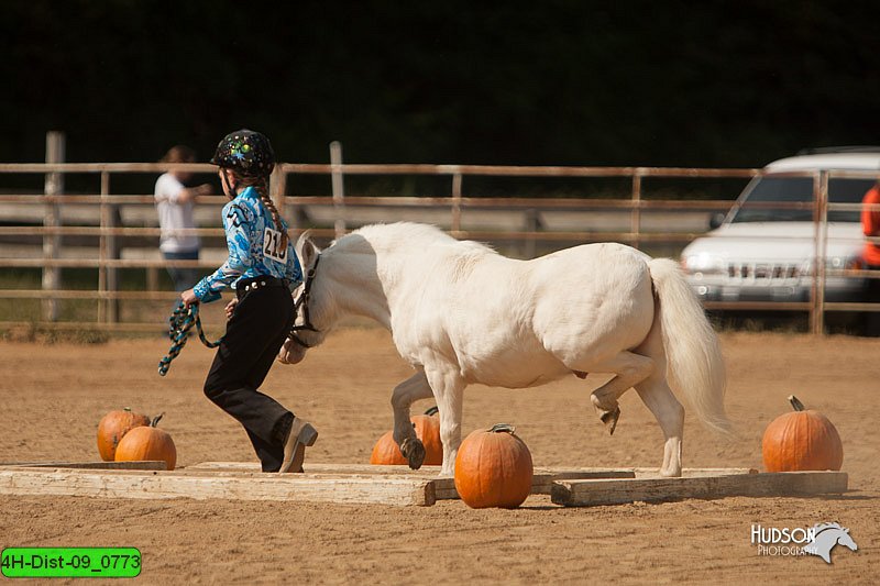 4H-Dist-09_0773.jpg