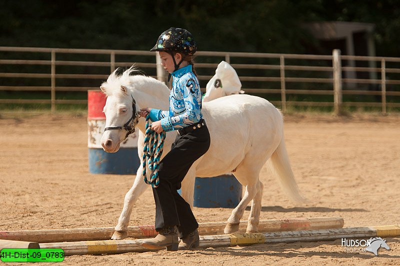 4H-Dist-09_0783.jpg