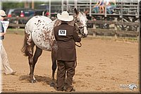 4H-LC-Fair-09_0132.jpg