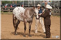 4H-LC-Fair-09_0133.jpg