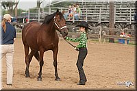 4H-LC-Fair-09_0138.jpg