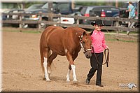 4H-LC-Fair-09_0147.jpg