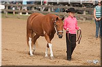 4H-LC-Fair-09_0148.jpg